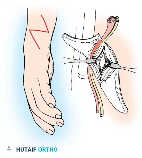 Hutaifortho's Orthopaedic Diagram