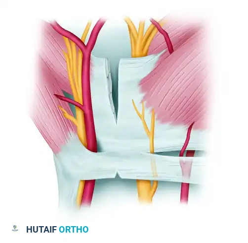 Scope View - Proximal Cut