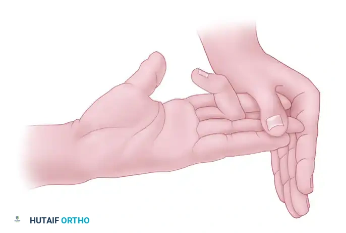 EXAMINATION Surgical Diagram