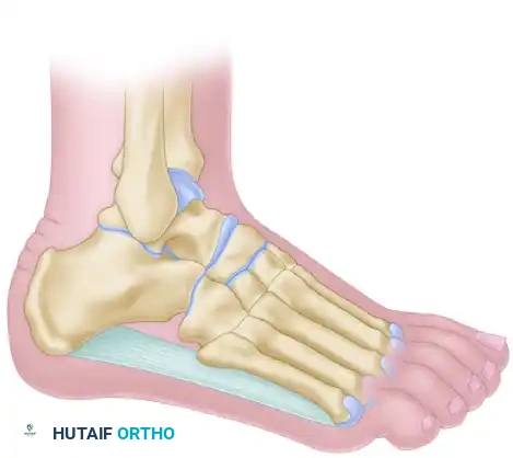 Truncated Wedge Principle