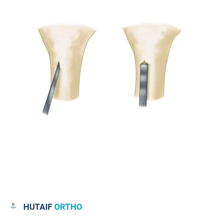 Hutaifortho's Orthopaedic Diagram