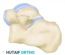 Neutral Eversion Inversion