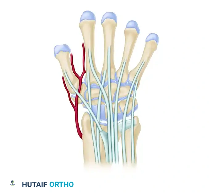 Standard midcarpal portals