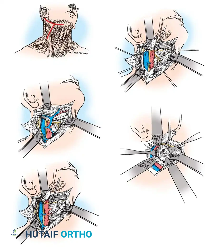 Hutaifortho's Orthopaedic Diagram
