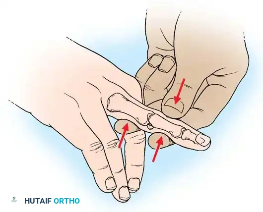 Hutaifortho's Orthopaedic Diagram