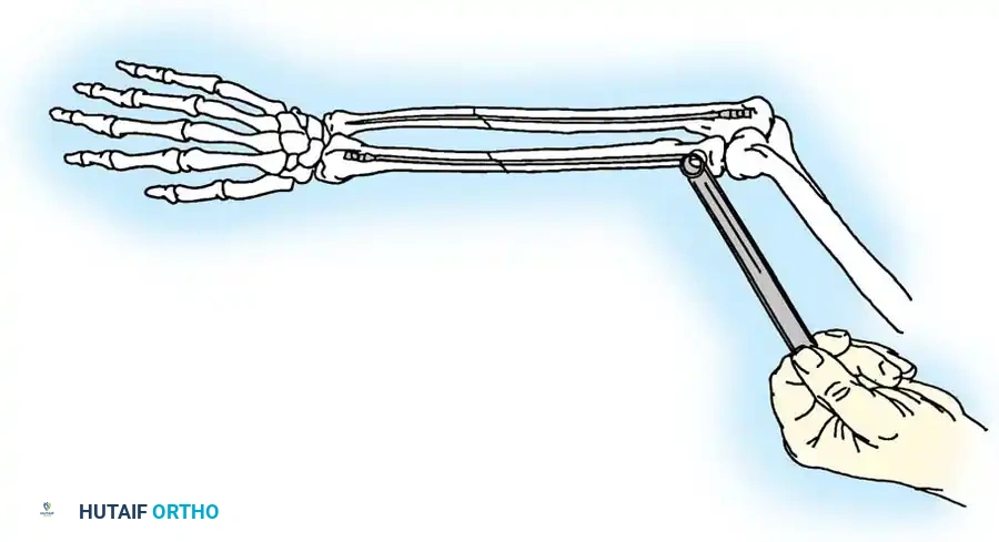 Hutaifortho's Orthopaedic Diagram
