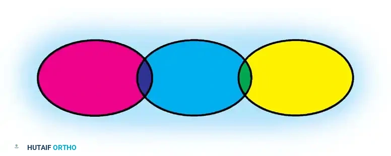 Hutaifortho's Orthopaedic Diagram