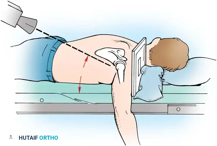 Hutaifortho's Orthopaedic Diagram