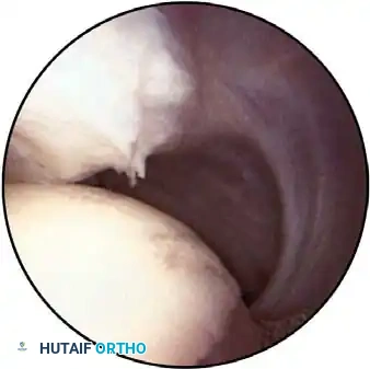 Hutaifortho's Orthopaedic Diagram