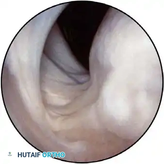 Hutaifortho's Orthopaedic Diagram