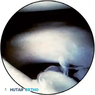 Hutaifortho's Orthopaedic Diagram