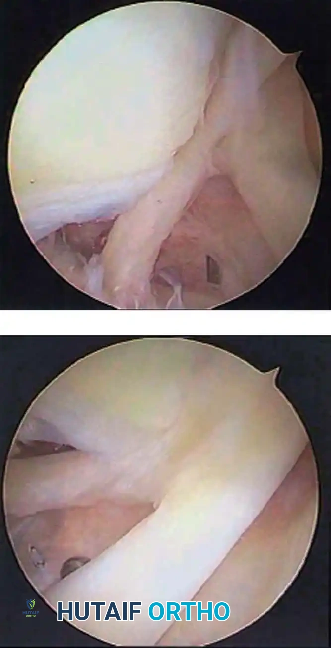Hutaifortho's Orthopaedic Diagram