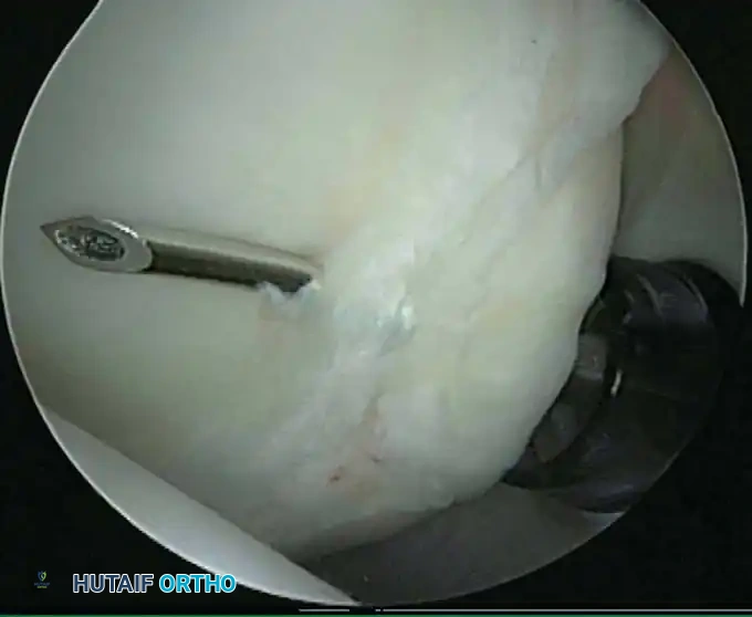 Hutaifortho's Orthopaedic Diagram