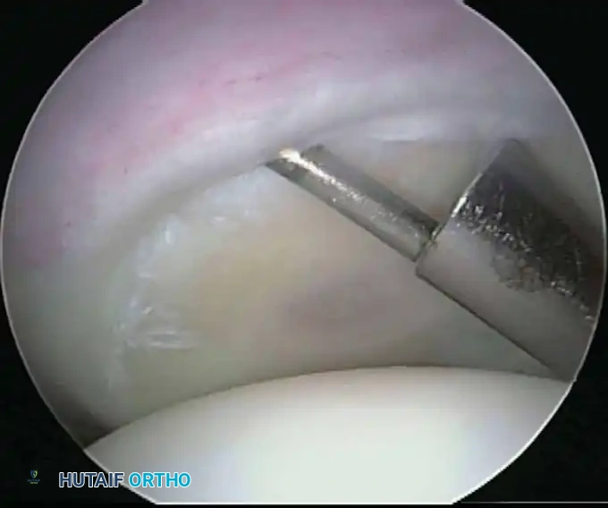 Hutaifortho's Orthopaedic Diagram