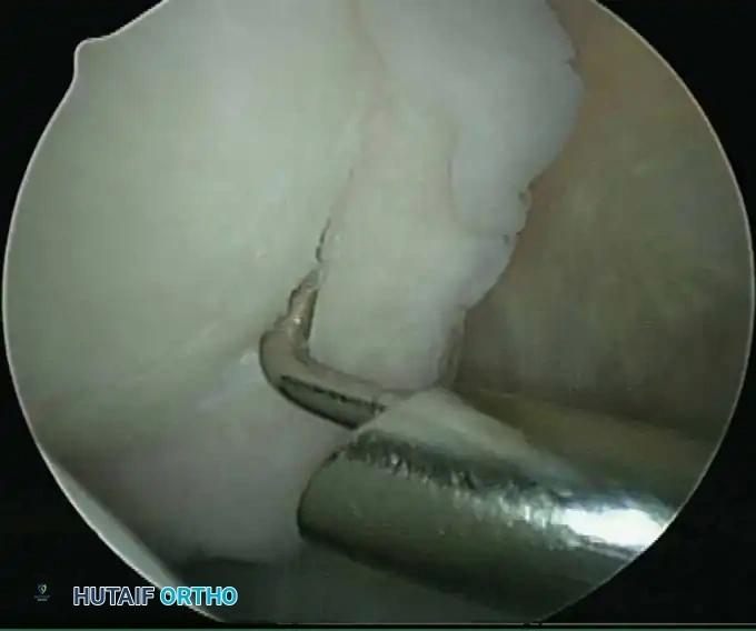 Hutaifortho's Orthopaedic Diagram