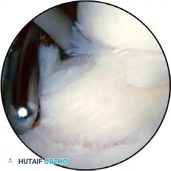 Hutaifortho's Orthopaedic Diagram