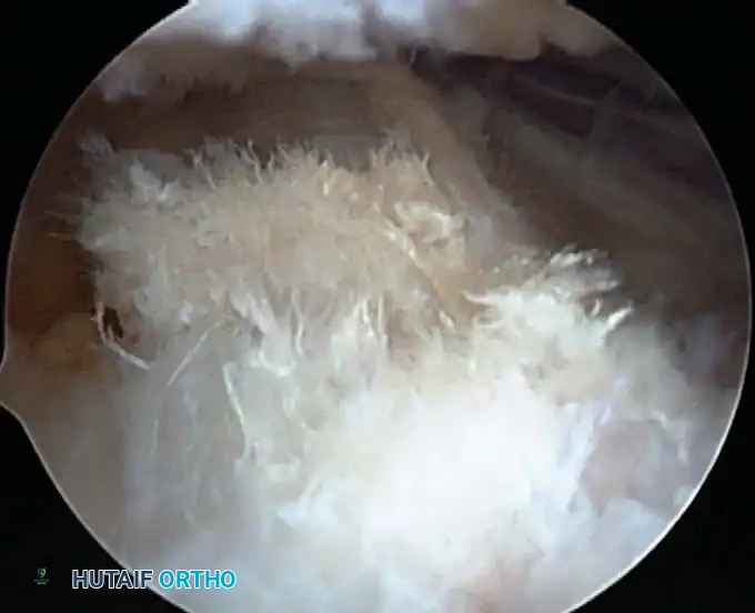 Hutaifortho's Orthopaedic Diagram