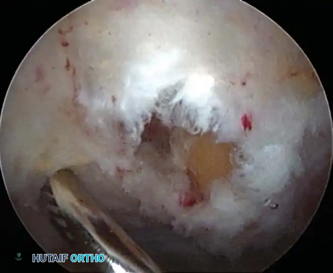 Hutaifortho's Orthopaedic Diagram