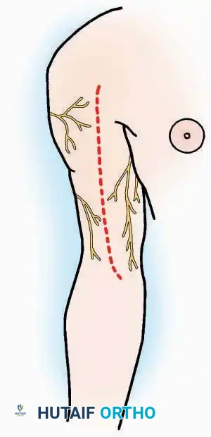 Hutaifortho's Orthopaedic Diagram