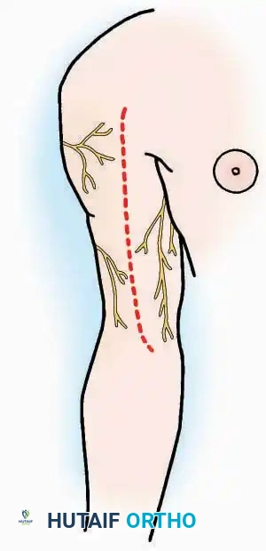Hutaifortho's Orthopaedic Diagram