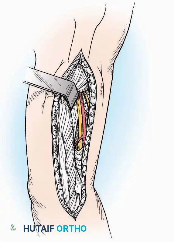 Hutaifortho's Orthopaedic Diagram