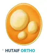 Peripheral Nerve Suturing: Advanced Surgical Techniques and Repair Protocols