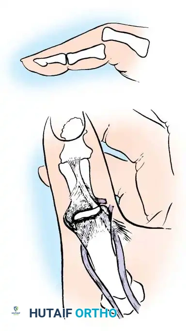 متابعة مدى تقدم الحركة في العيادة