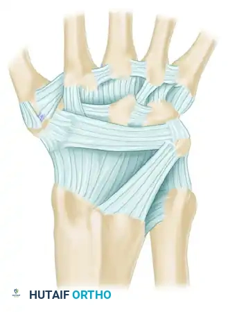 Mastering Wrist Ligament Injuries and Carpal Instability: A Comprehensive Surgical Guide