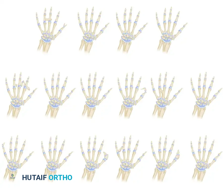 Classifications 1 a-c