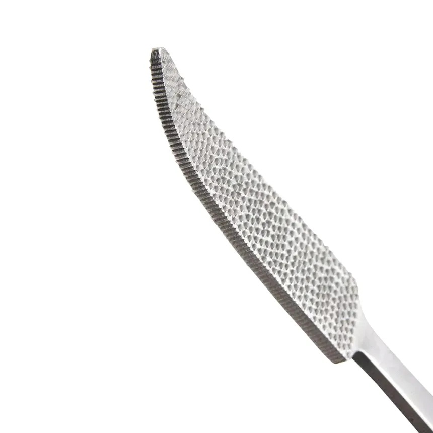Bone Rasp / File