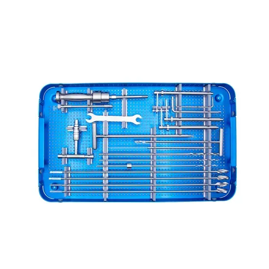 Proximal Humerus Internal Locking System (PHILOS) Plate