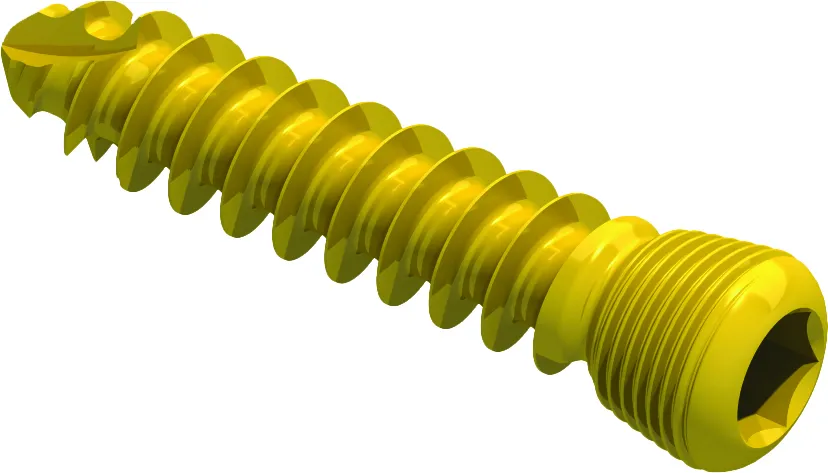 Locking Head Screw (Variable Angle)