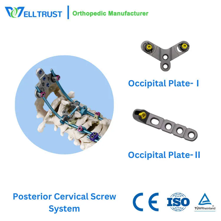 Occipital Plate