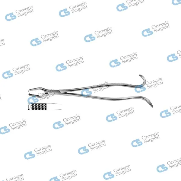 Lane Bone Holding Forceps
