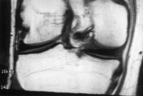 Anatomy 2000 Practice Questions: Set 1 (Solved) - Figure 19