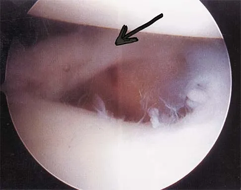 Anatomy 2000 Practice Questions: Set 1 (Solved) - Figure 2