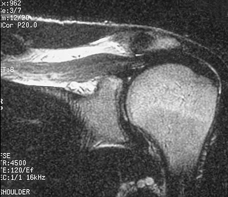 Anatomy 2000 Practice Questions: Set 3 (Solved) - Figure 17