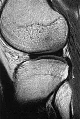 Anatomy 2002 Practice Questions: Set 1 (Solved) - Figure 12