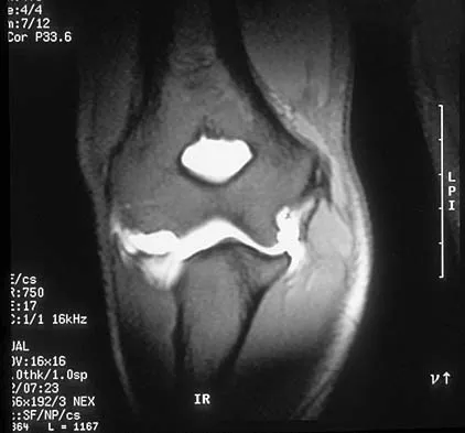 Anatomy 2002 Practice Questions: Set 1 (Solved) - Figure 16