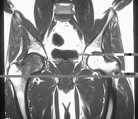 Anatomy 2002 Practice Questions: Set 1 (Solved) - Figure 26