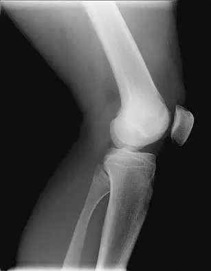 Anatomy 2005 Practice Questions: Set 1 (Solved) - Figure 11