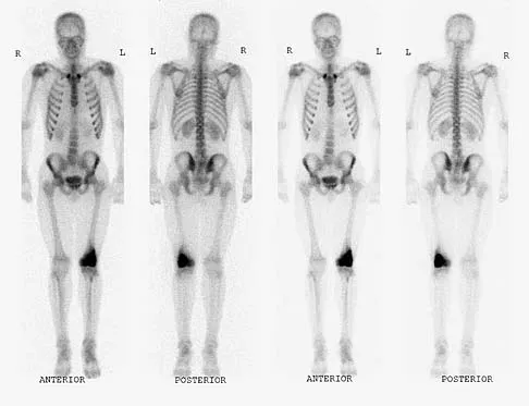 Anatomy 2005 Practice Questions: Set 1 (Solved) - Figure 12