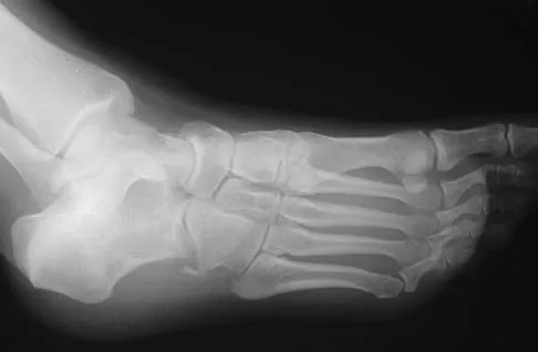Anatomy 2005 Practice Questions: Set 1 (Solved) - Figure 24