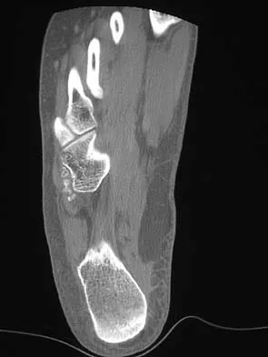 Anatomy 2005 Practice Questions: Set 1 (Solved) - Figure 25