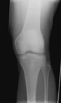Anatomy 2005 Practice Questions: Set 1 (Solved) - Figure 5