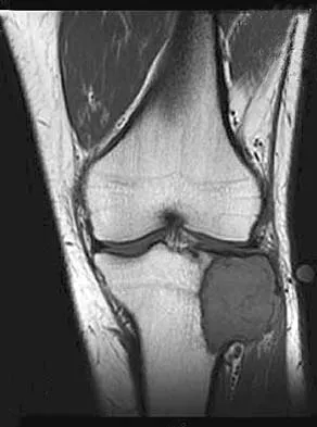 Anatomy Board Review 2005: High-Yield MCQs (Set 2) - Figure 19