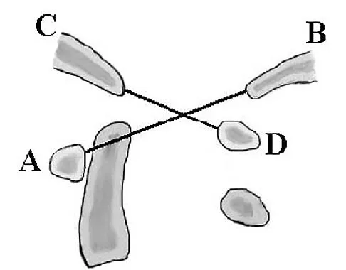 Anatomy Board Review 2005: High-Yield MCQs (Set 2) - Figure 32
