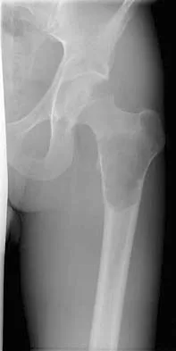 Anatomy 2005 Practice Questions: Set 3 (Solved) - Figure 12