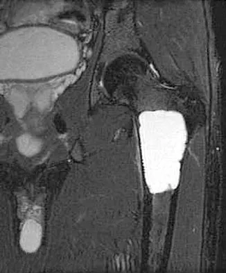 Anatomy 2005 Practice Questions: Set 3 (Solved) - Figure 15