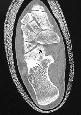 Anatomy Board Review 2005: High-Yield MCQs (Set 4) - Figure 10